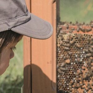 tohu atelier extérieur enfant