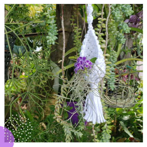 mini support floral macramé jardiniere