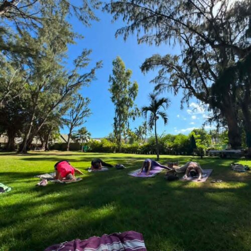 matinée bien être yoga et atlier créatif
